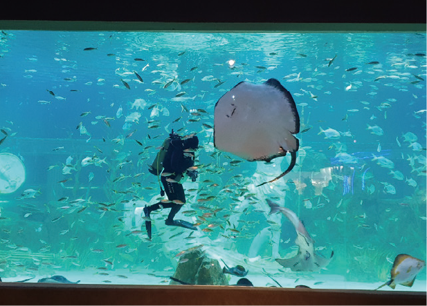 Daejeon Expo Aquarium